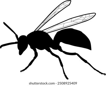 Vector Imagen de una avispa