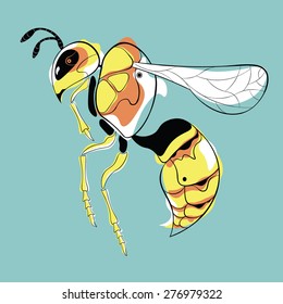 Vector image of wasp