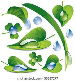 Vector image of a water drops with a green leafs