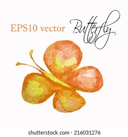 Vector image of watercolor butterfly isolated on white