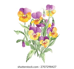 Imagem vetorial de um efeito de aquarela de um buquê de flores amarelas e roxas pansies com folhas verdes isoladas em um fundo branco.
