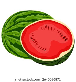 Vector image of a watermelon cut in half lengthwise showing the red flesh and rind. Great for food illustrations, packaging, and summer themes.