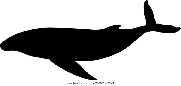 Vector image of a whale