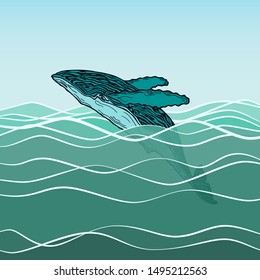 Vector image of a whale jumping out of the water. Large humpback blue whale with two fins appeared above the waves. Side view.