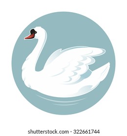 Vector image of an white beautiful swan