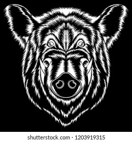 Vector image of white boar on black background.