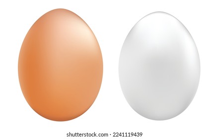 Imagen vectorial de huevos blancos y marrones preparados y limpiados