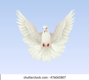 Vector image of a white dove in the sky-blue background
