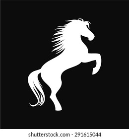 Vector image of an white horse on black background