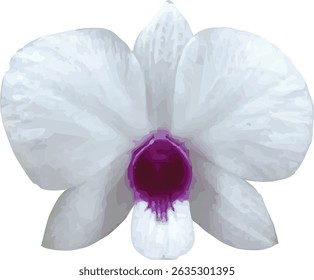 Imagen de Vector de flor de orquídea blanca sobre un fondo blanco