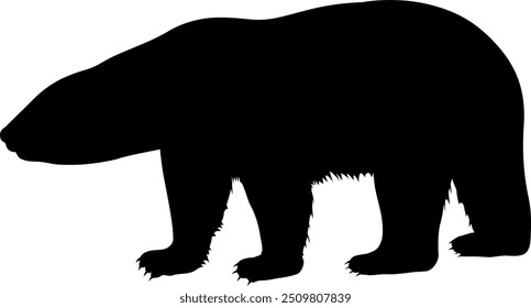 Vektorbild eines weißen Eisbären