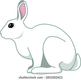 Vector image of a white rabbit