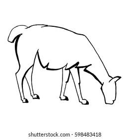 Vector image with white realistic eating llama