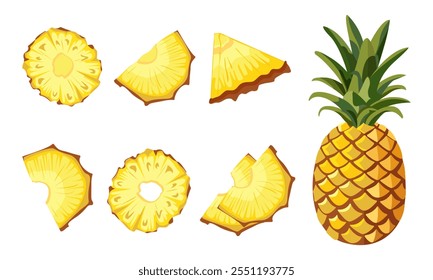 Vector image of Whole pineapple and sliced pineapple slices on white background. Citrus fruit slices. Set of icons Ripe and tasty product