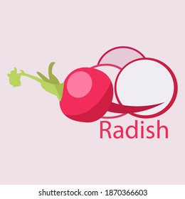 
Imagen vectorial de rábano y rodajas enteras