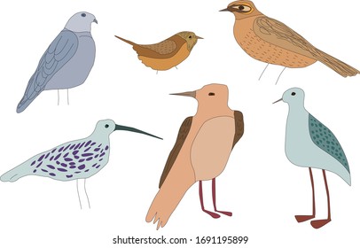 Vector image of wild birds.