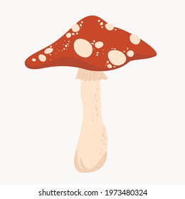 Vector image of a wild mushroom fly agaric on a light background. Cartoon flat illustration. Isolated object
