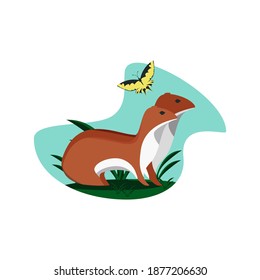 Vector image of wild nature, ferret