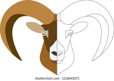 Vector image of wild ram, half coloured half black and white.