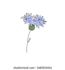 Vektorillustration Bild von Wildblumen Kornblumen einzeln auf weißem Hintergrund Doodle. Illustration. 