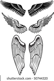 Vector image wings