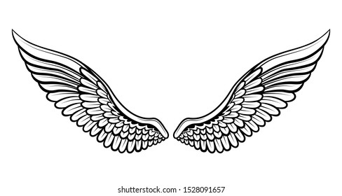 Vector image of wings on a white background.