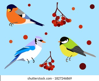 Vektorbild von Wintervögeln mit Rowan