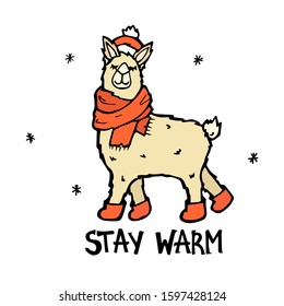vector image of a winter cartoon llama in a red scarf, hat and boots isolated on a white background. the inscription stay warm