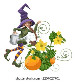 Vector image of a witch watering a pumpkin. Concept. Isolated on white background. EPS 10