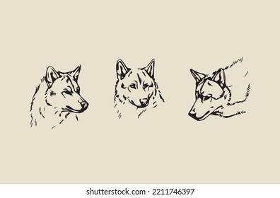 Vector image - wolf head in three different angles