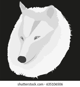 Vector image of a wolf on a black background