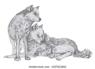 vector image of a wolf and a she-wolf symbolizing the strength of the family and true love