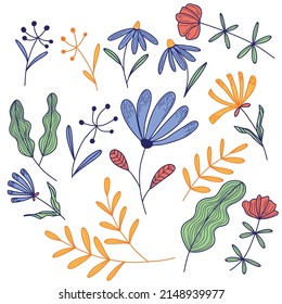 vector image of yellow blue and red flowers and green and red leaves