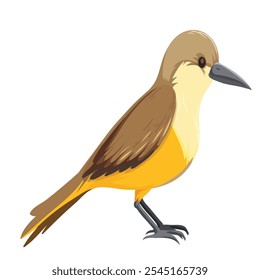 
vector image of a yellow and brown bird