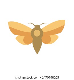 Vector image of a yellow butterfly on a white background. Vector butterfly icon.