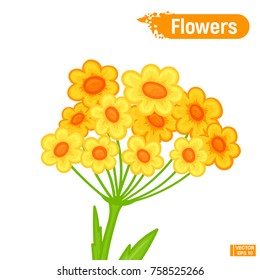 Vector image. Yellow flowers. Brightly colored sketch of abstract flowers.