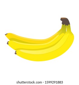 Vector image, yellow ripe bananas on an isolated white background.