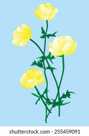 The vector image of a Yellow Wildflowers on a blue background.
