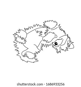Vector image of yorkshire terrier. Sleeping puppy