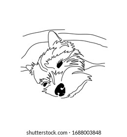 Imagen vectorial de yorkshire terrier. Perro dormido