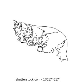 Vector image of yorkshire terrier. Sleeping puppy