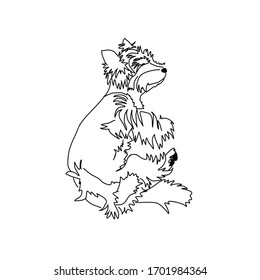 Vector image of yorkshire terrier. Sleeping puppy