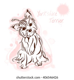 vector image Yorkshire Terrier watercolor background