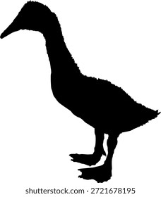 Vector Imagen de una joven silueta de pato moscovita negro sobre un fondo blanco