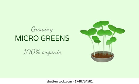 Vector image of young microgreens shoots. Design for website, background with place for text. The concept of healthy eating, vegetarian food.