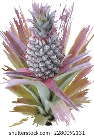 vector image of a young pineapple in its infancy