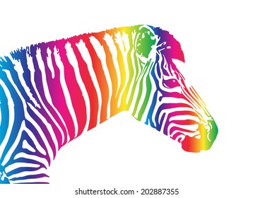 Vector image of an zebra head on white background
