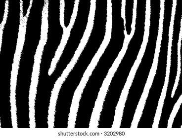 vector image of a zebra texture