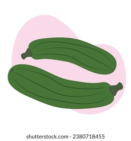 Vector image of zucchini. Green zucchini for a vegetable basket.