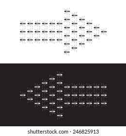Vector images of ants to form an arrow.